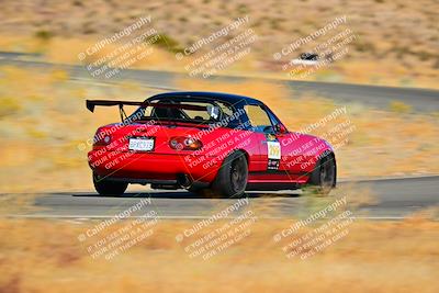 media/Nov-16-2024-Extreme Speed (Sat) [[6587d07cc4]]/Red Group/Session 2 (Turns 3 and 5)/